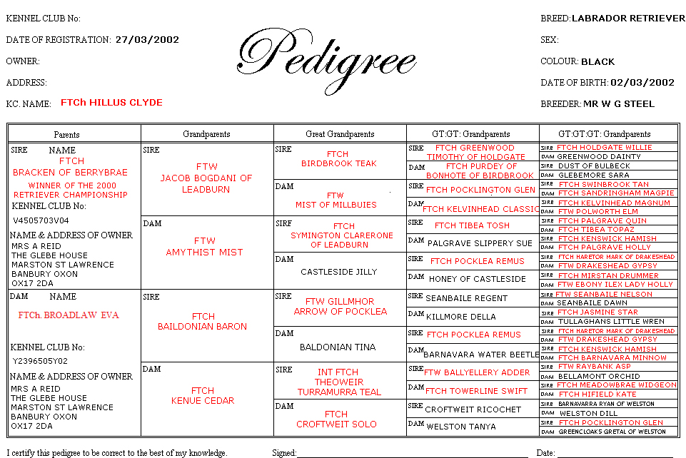 Equine Pedigree Chart